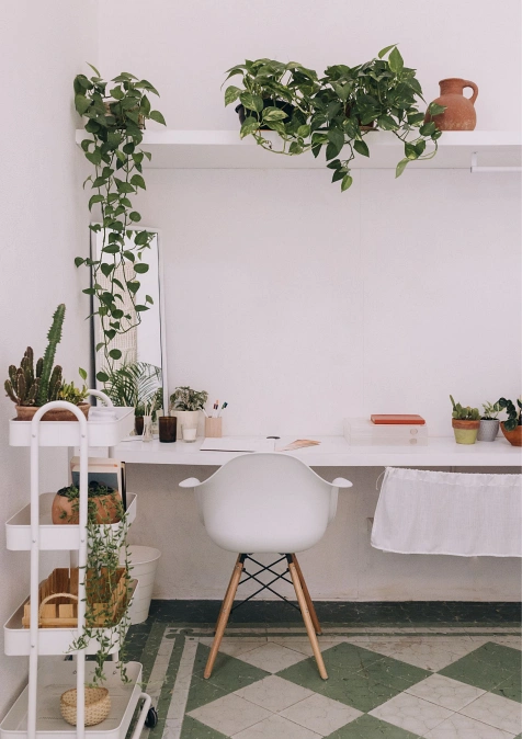 Rentrée d'entrepreneur : bureau décoré avec des plantes